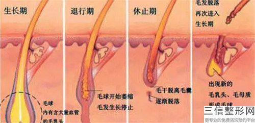 日照市种植头顶毛发医生综合实力前十口碑排行名单收藏更新（徐继军医生在各项技术上各有特色）