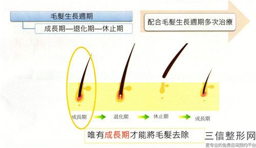 天津臻瑞新科医疗整形医院冰点脱腋毛手术费大概是多少